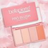 Pro Blush Palette